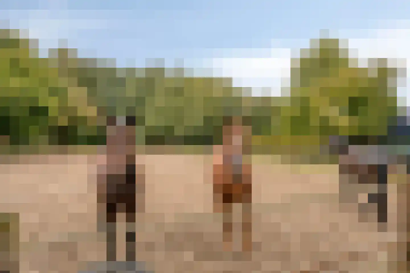 Eikenlaan 27 Wolvega thumbnail 4