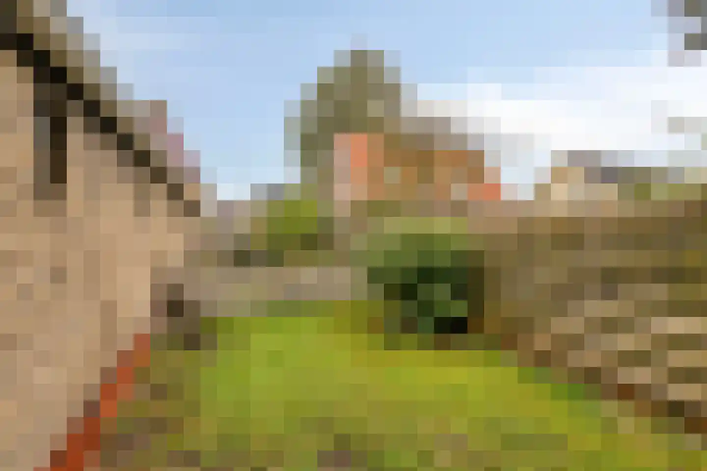 Eikenlaan 27 Wolvega thumbnail 40