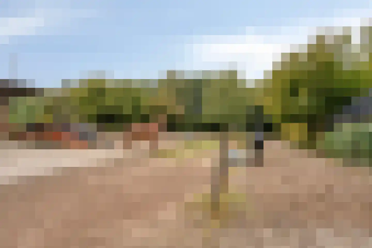 Eikenlaan 27 Wolvega thumbnail 46