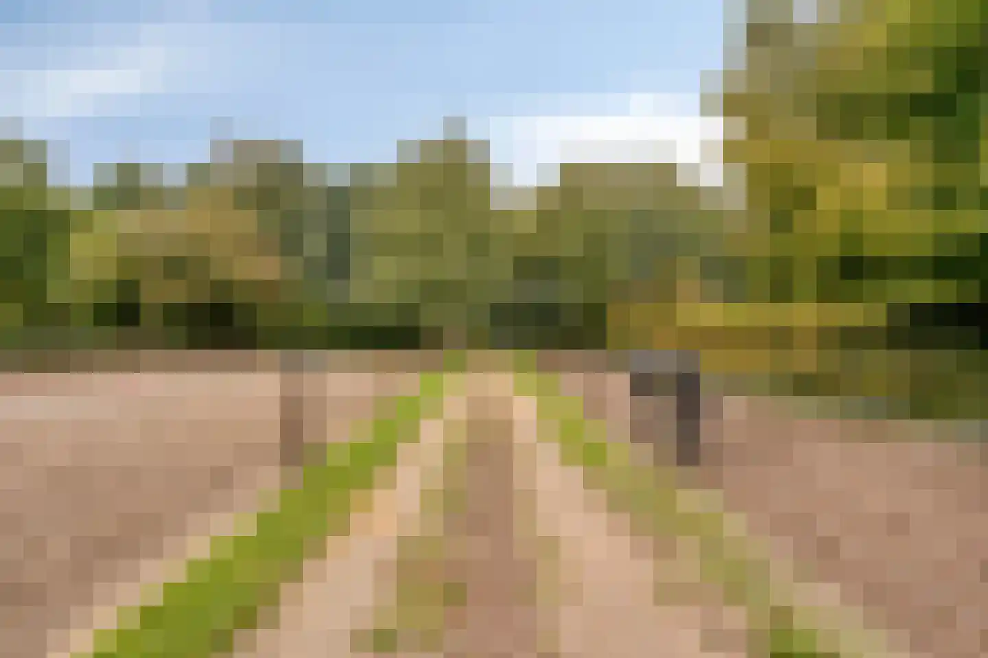 Eikenlaan 27 Wolvega thumbnail 47