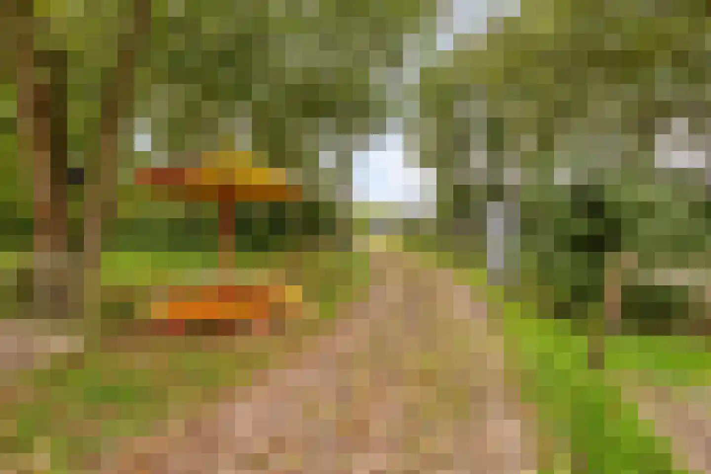 Eikenlaan 27 Wolvega thumbnail 49