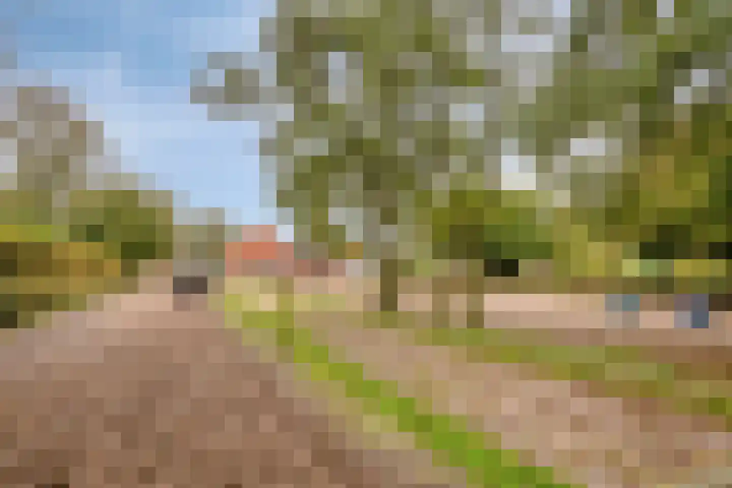 Eikenlaan 27 Wolvega thumbnail 50