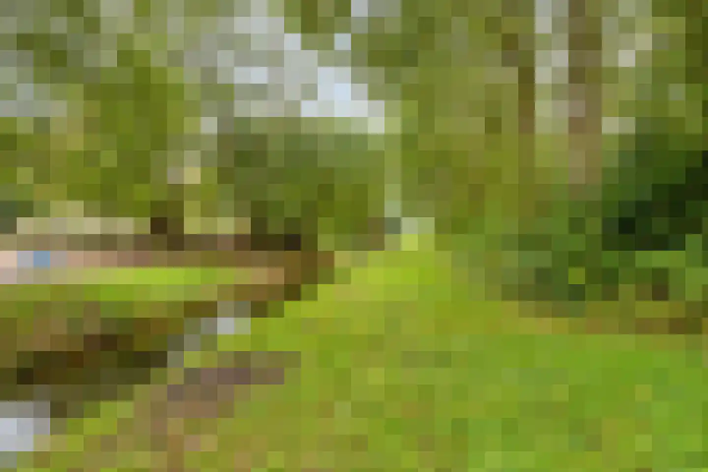 Eikenlaan 27 Wolvega thumbnail 57