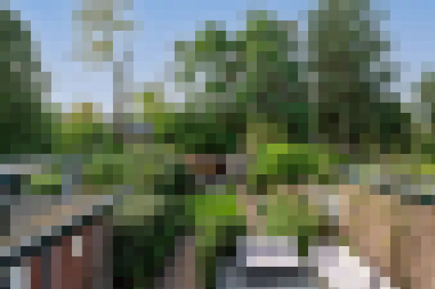 Eikenlaan 27 Zeist thumbnail 19