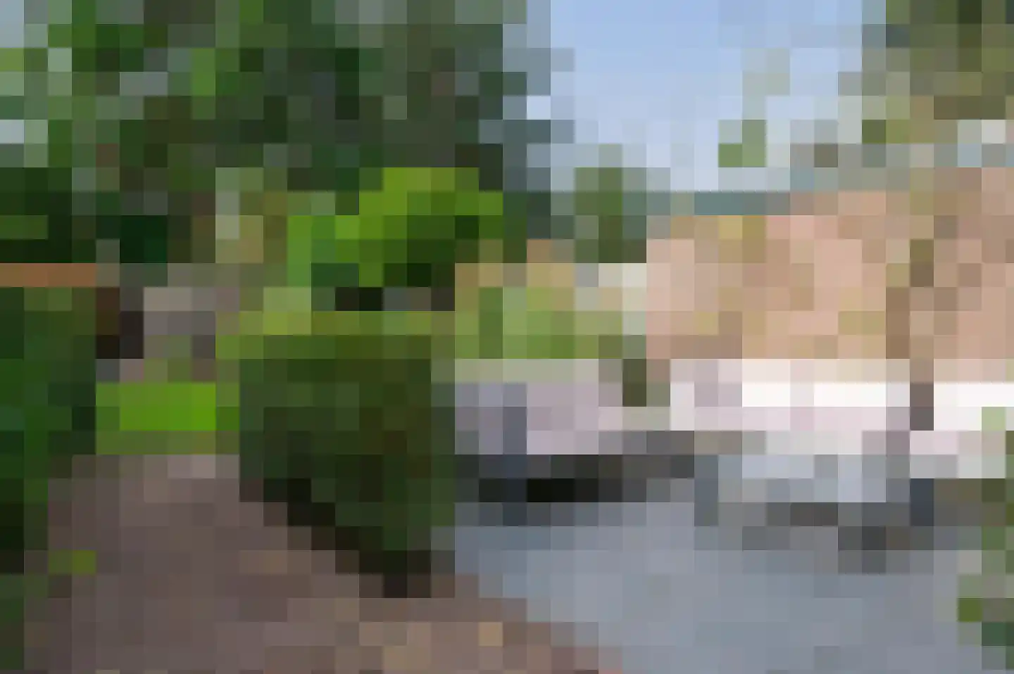 Eikenlaan 27 Zeist thumbnail 30