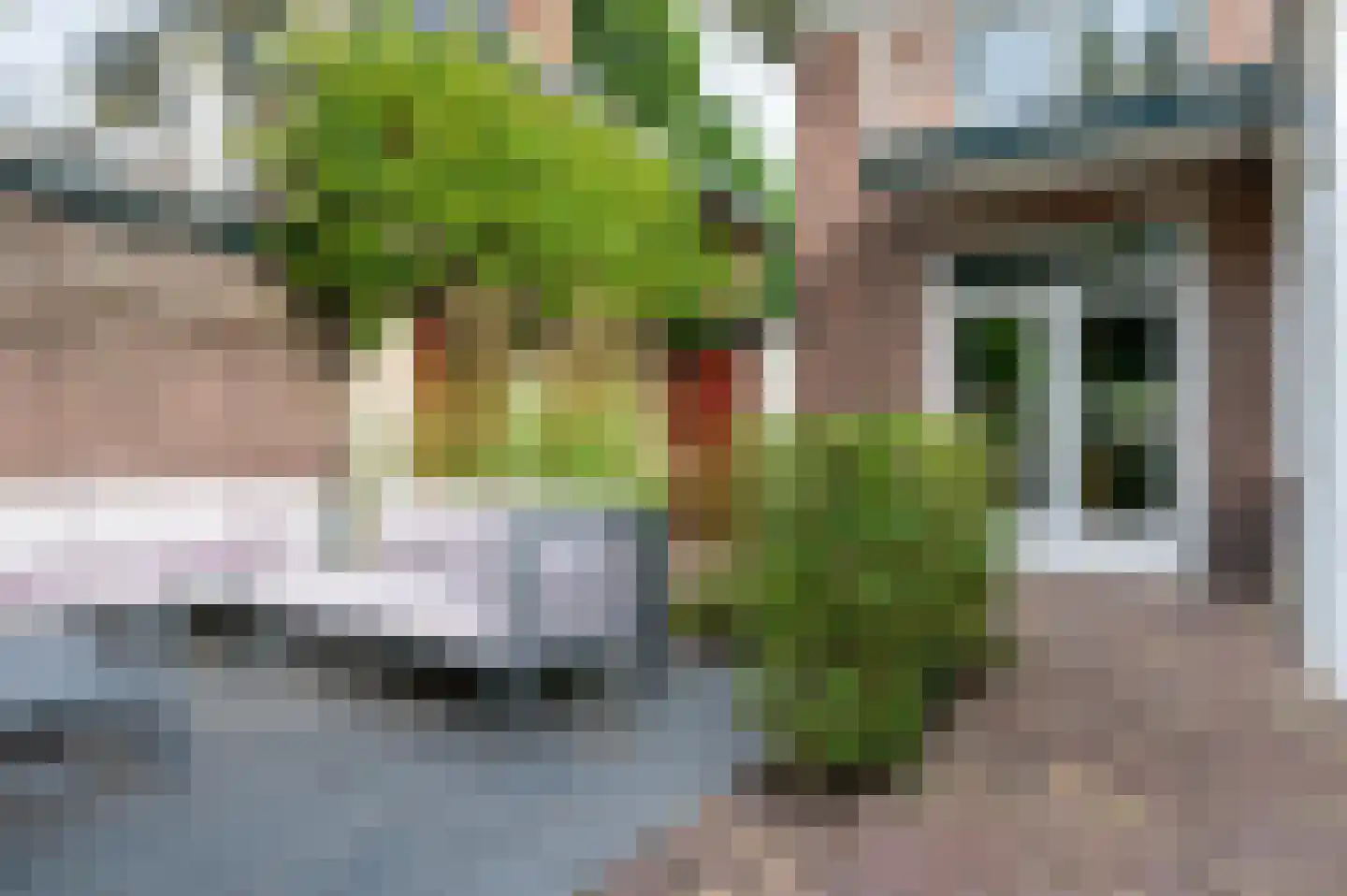 Eikenlaan 27 Zeist thumbnail 31