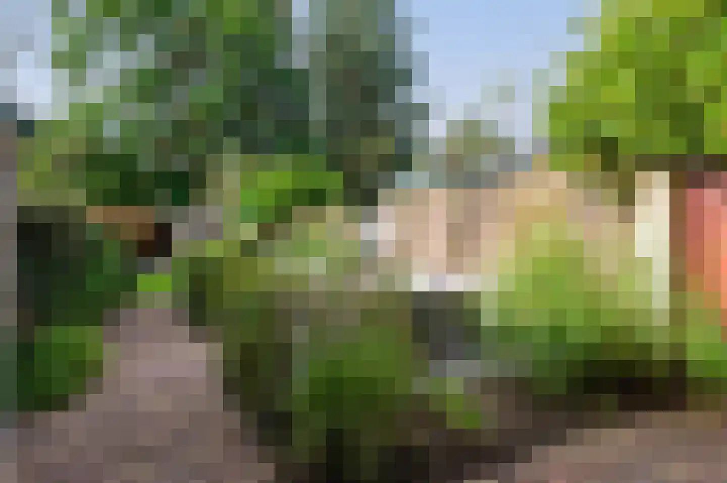 Eikenlaan 27 Zeist thumbnail 32