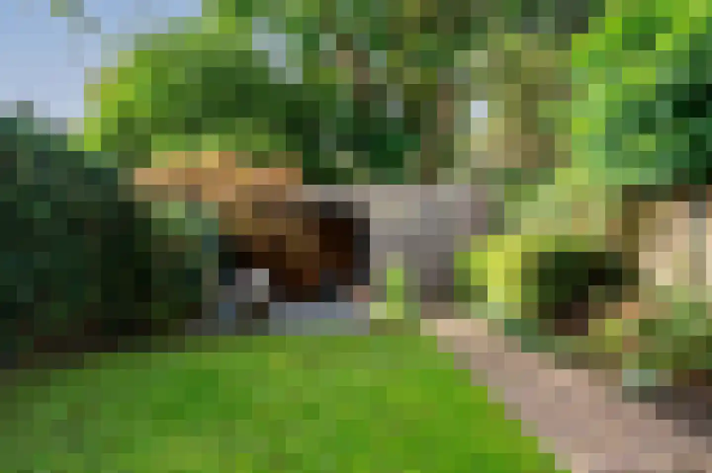 Eikenlaan 27 Zeist thumbnail 34
