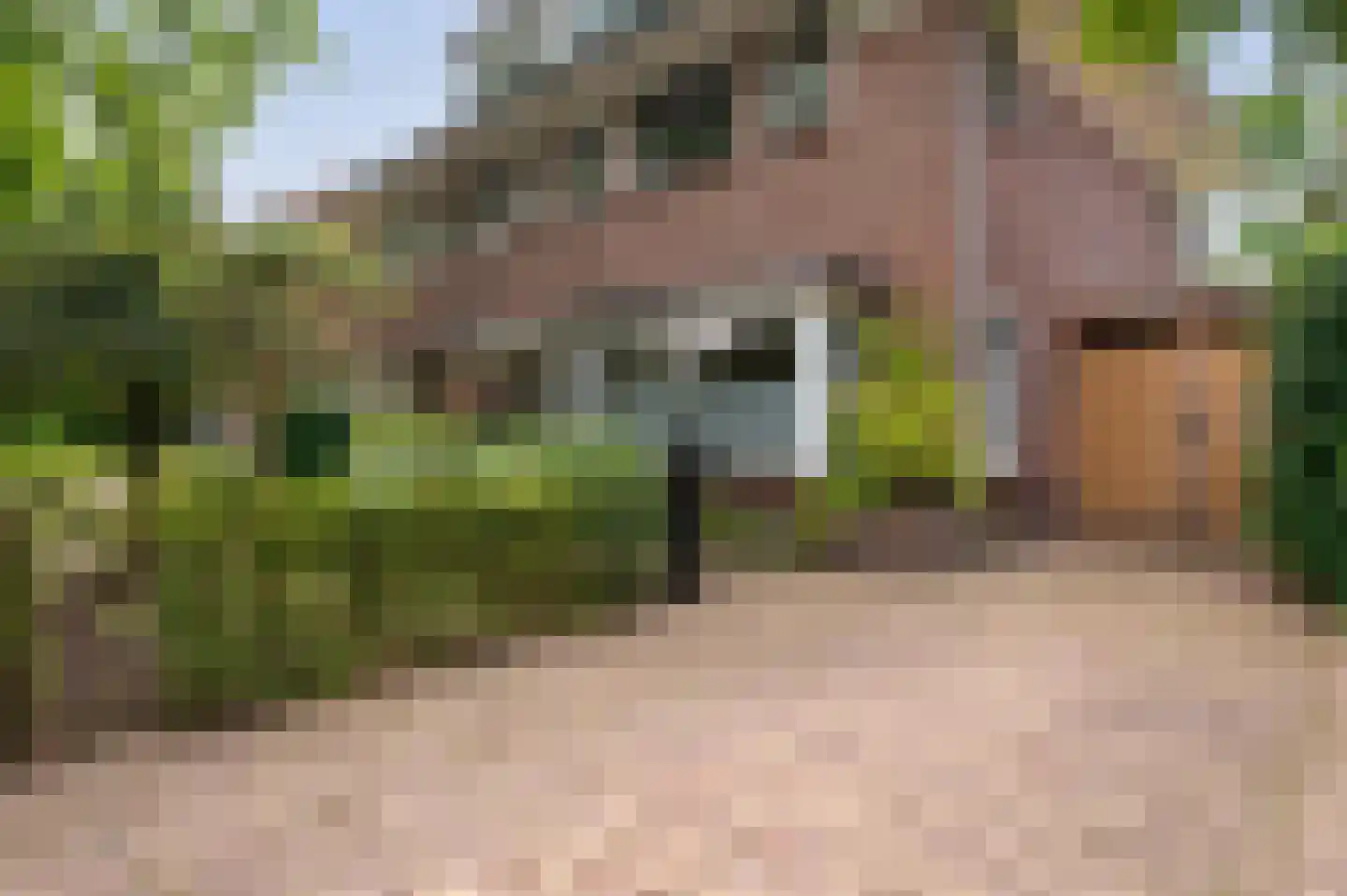 Eikenlaan 27 Zeist thumbnail 39