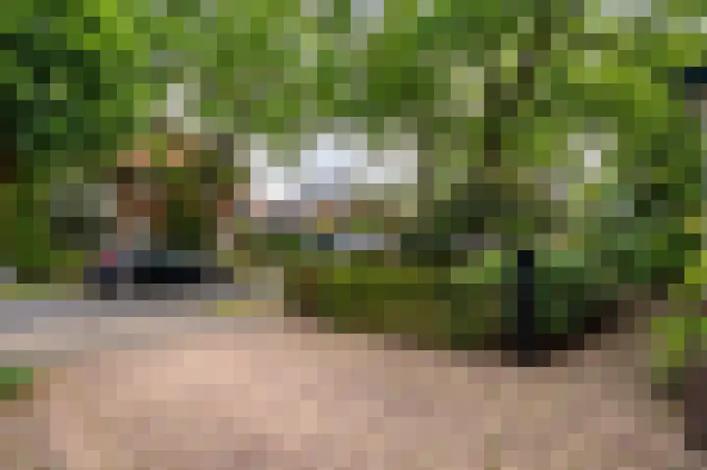 Eikenlaan 27 Zeist thumbnail 4