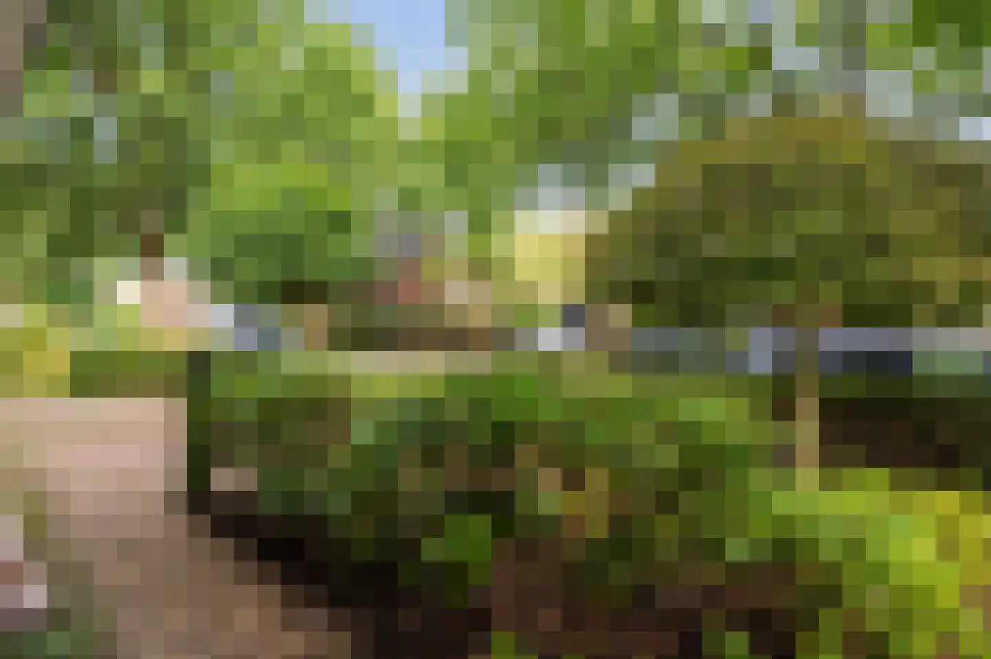 Eikenlaan 27 Zeist thumbnail 40