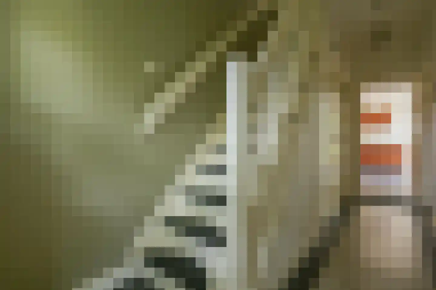 Eikenlaan 27 Zeist thumbnail 6