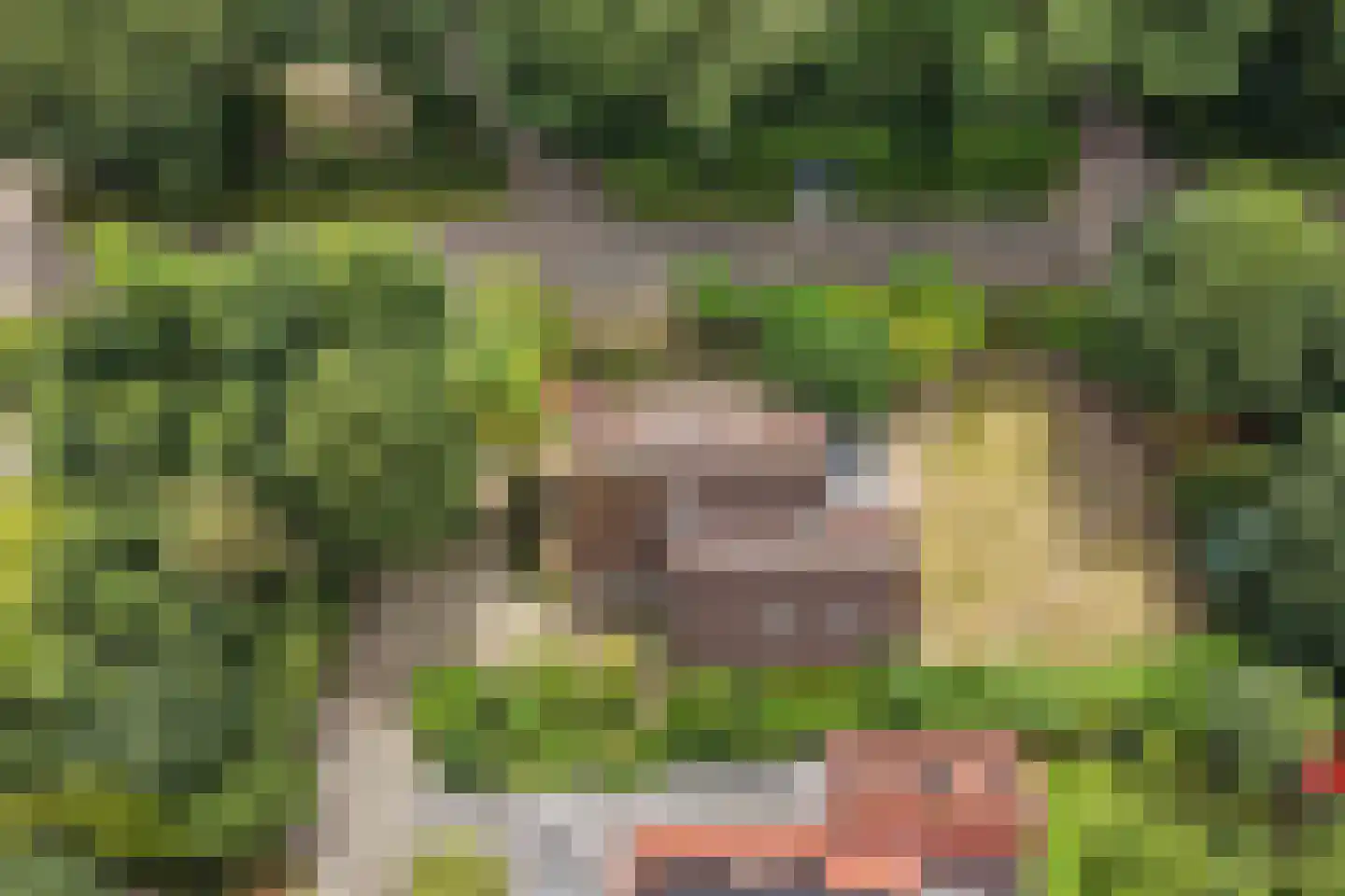 Eikenlaan 28 Dronten thumbnail 4