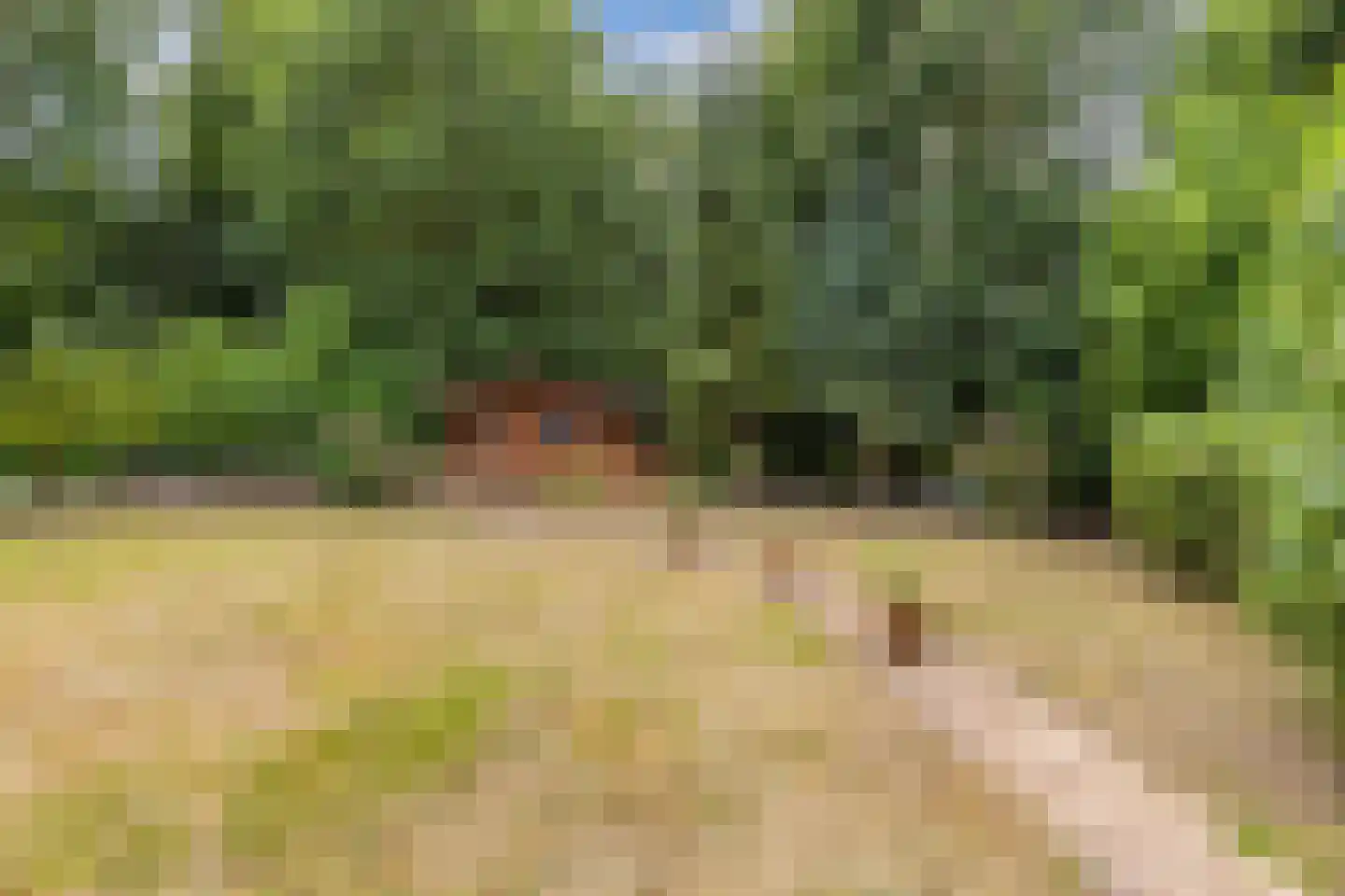 Eikenlaan 28 Dronten thumbnail 48
