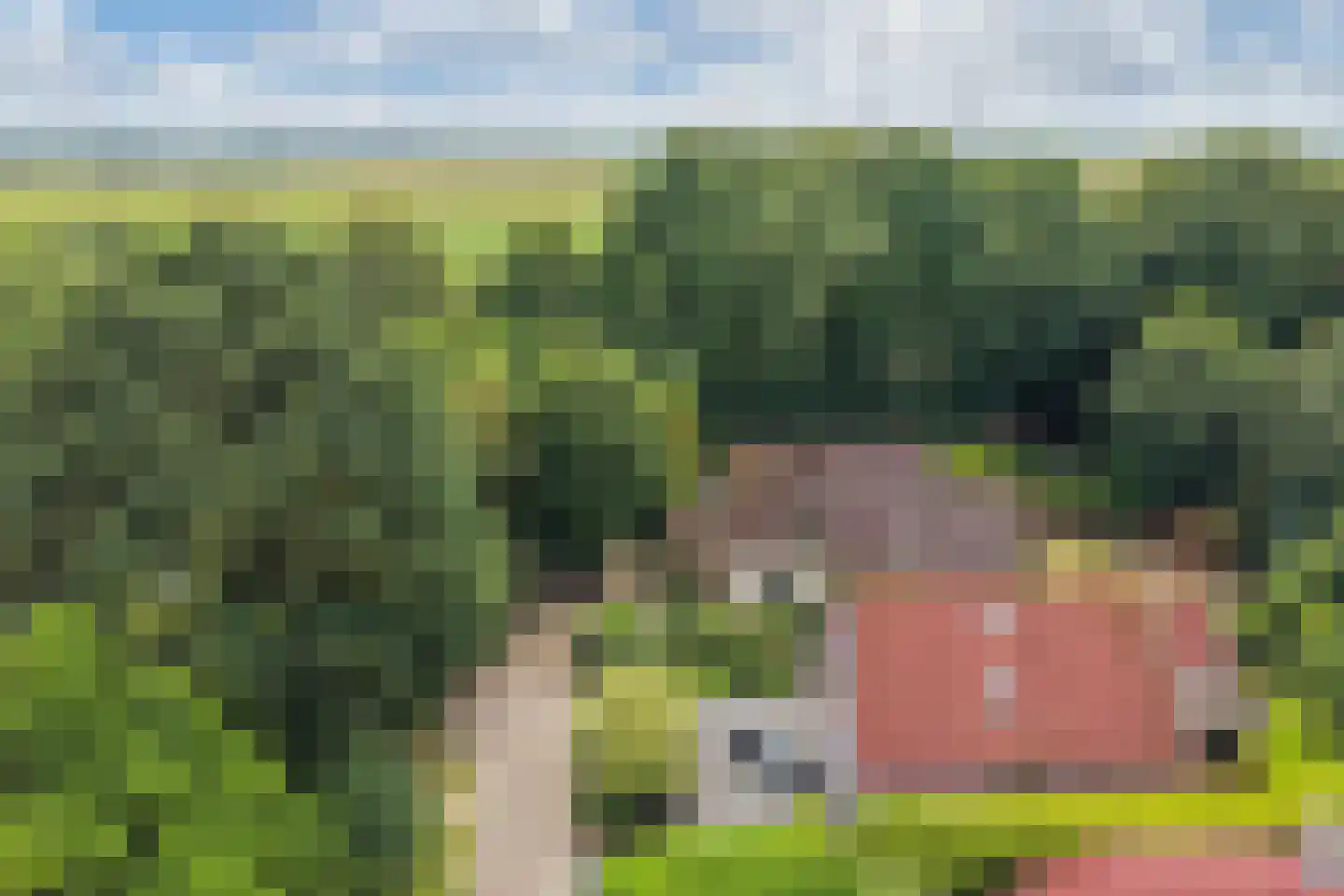 Eikenlaan 28 Dronten thumbnail 52