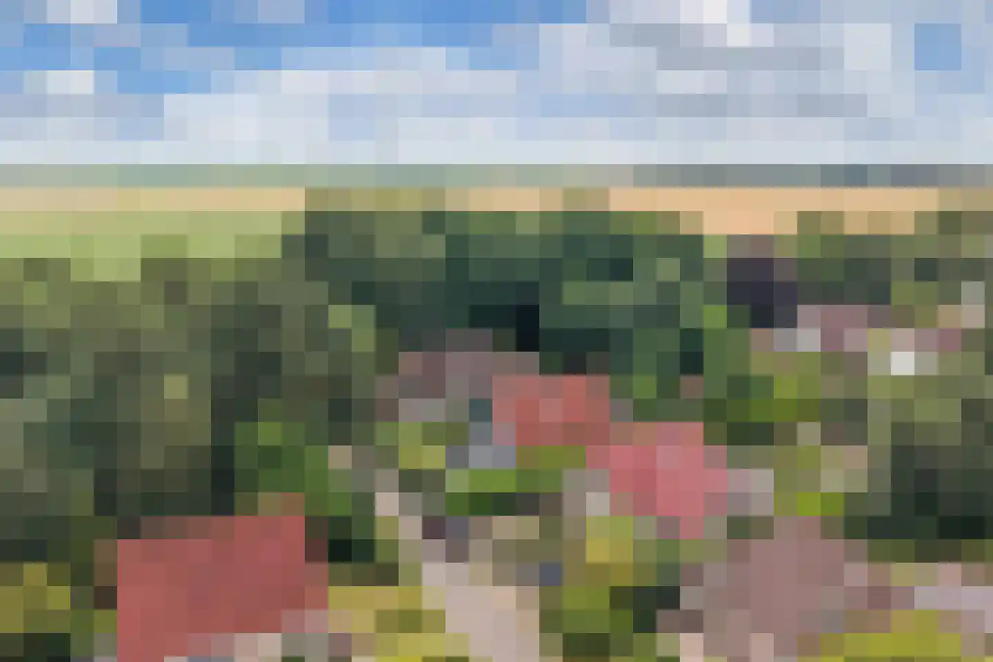 Eikenlaan 28 Dronten thumbnail 53