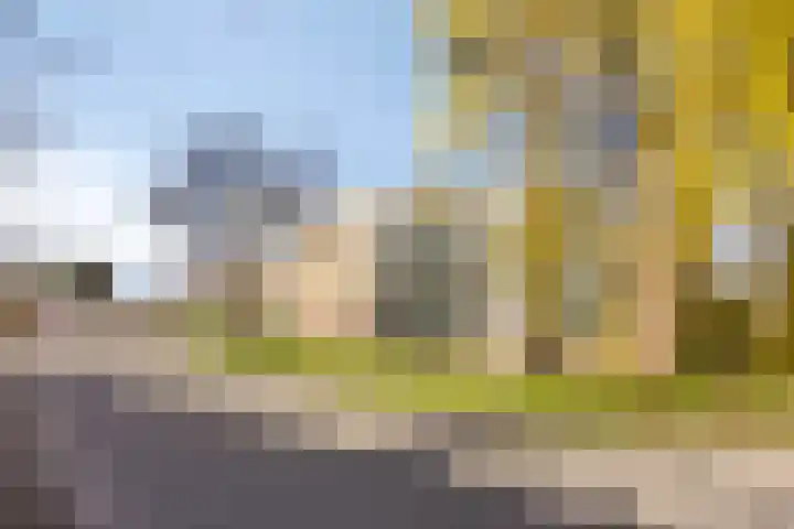 Eikenlaan 28 Hillegom thumbnail 28