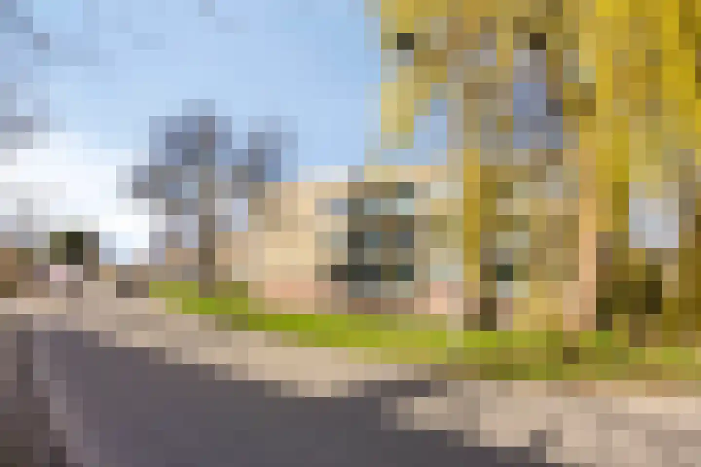 Eikenlaan 28 Hillegom thumbnail 28
