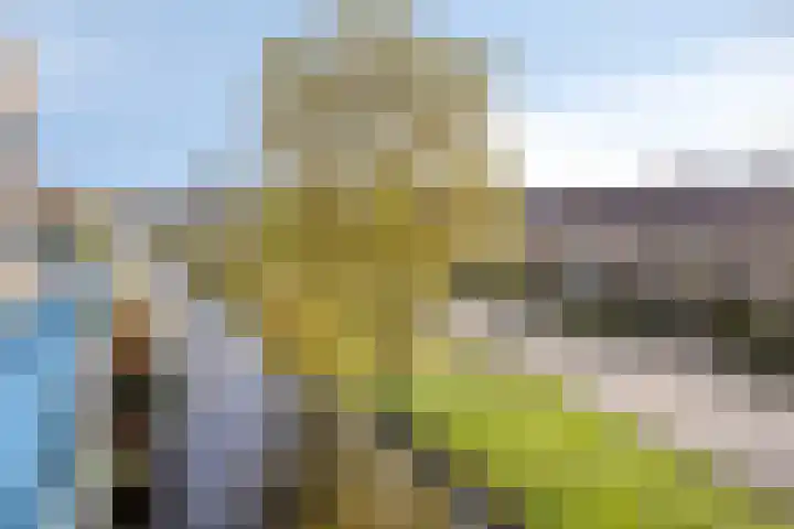 Eikenlaan 28 Hillegom thumbnail 29