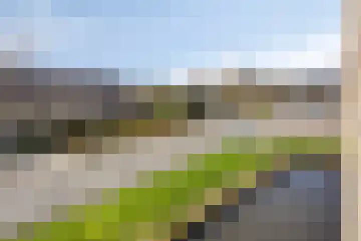 Eikenlaan 28 Hillegom thumbnail 30