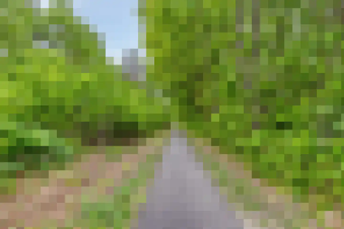 Eikenlaan 28 Langenboom thumbnail 27