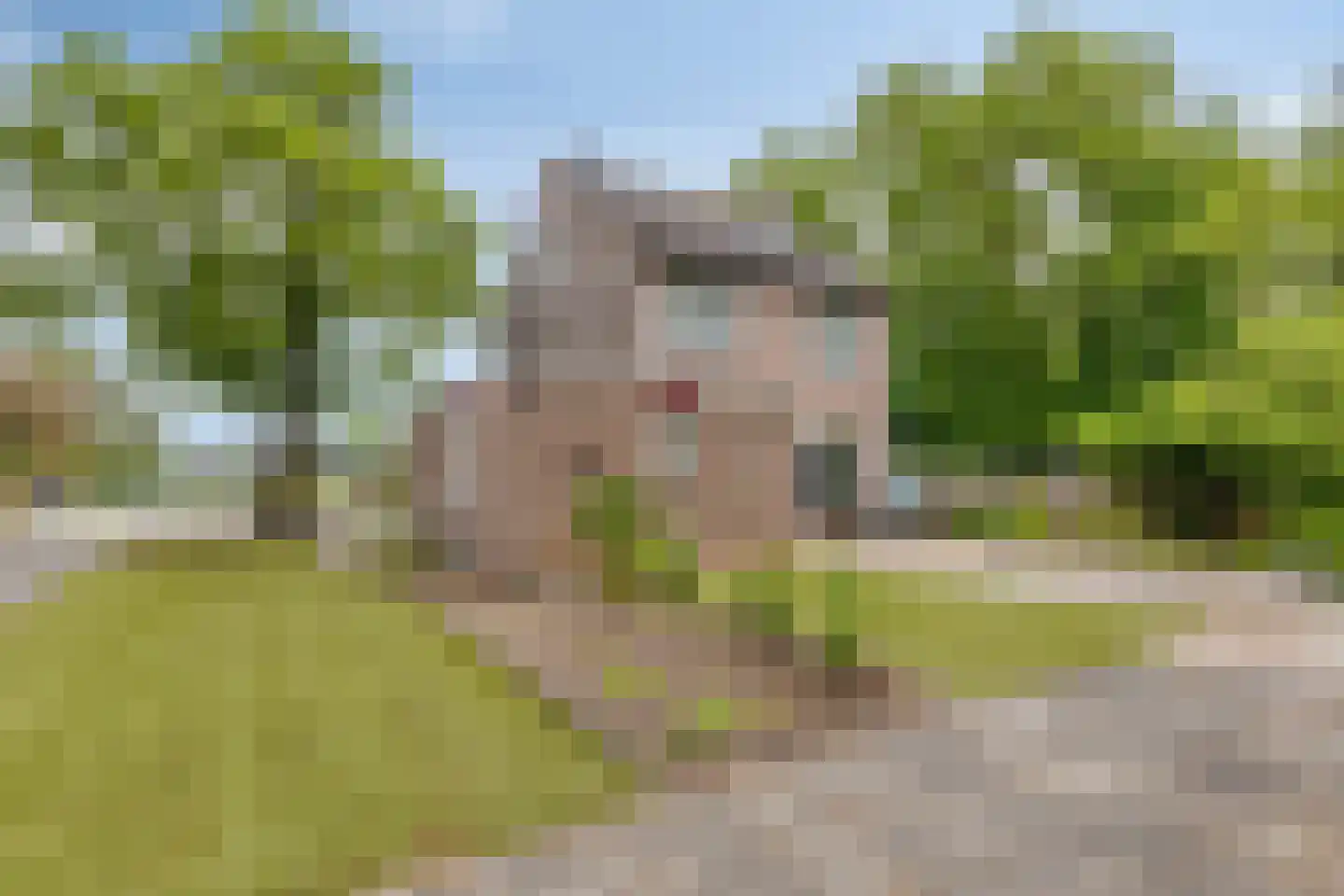 Eikenlaan 28 Langenboom thumbnail 5