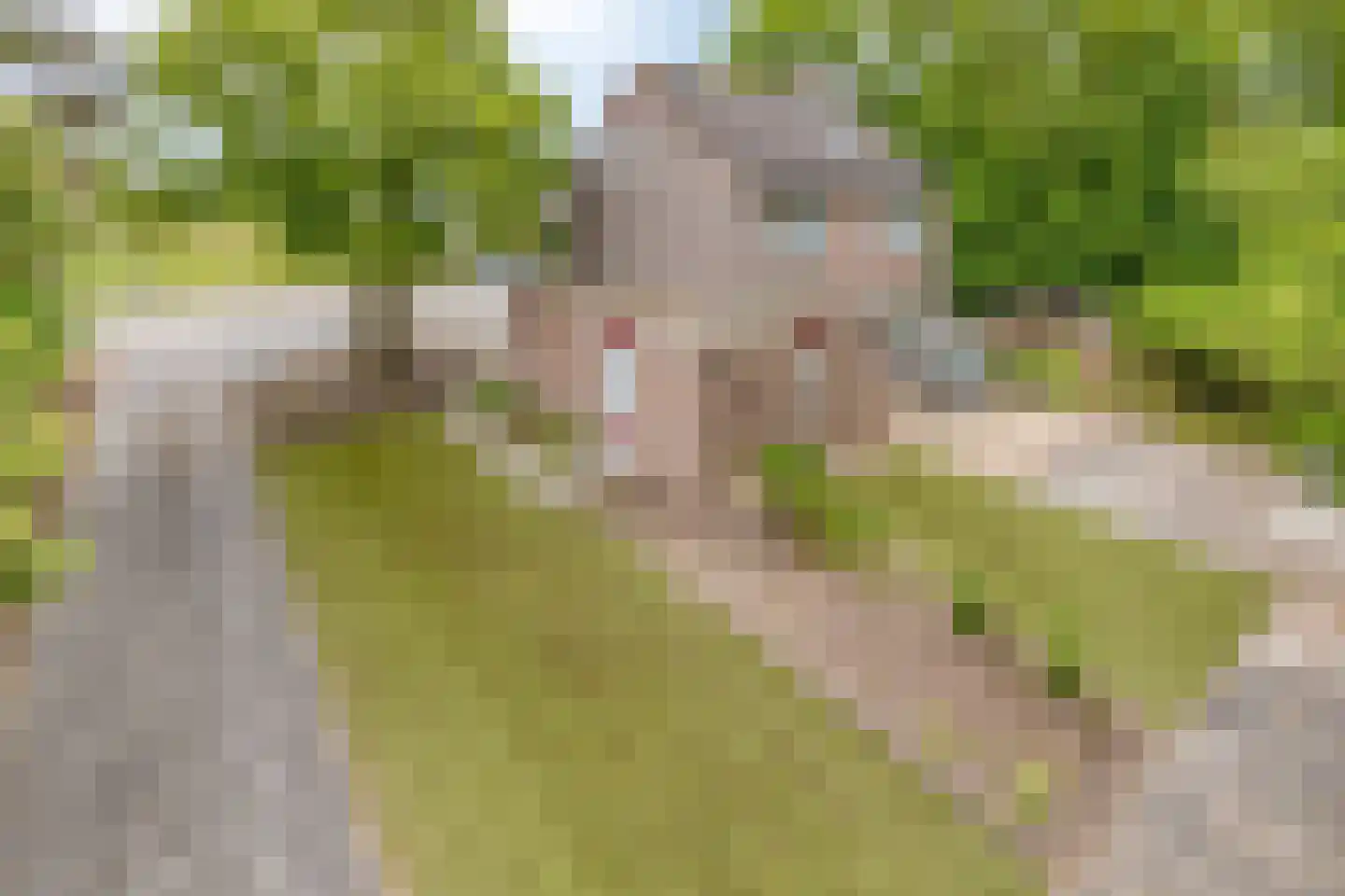 Eikenlaan 28 Langenboom thumbnail 6