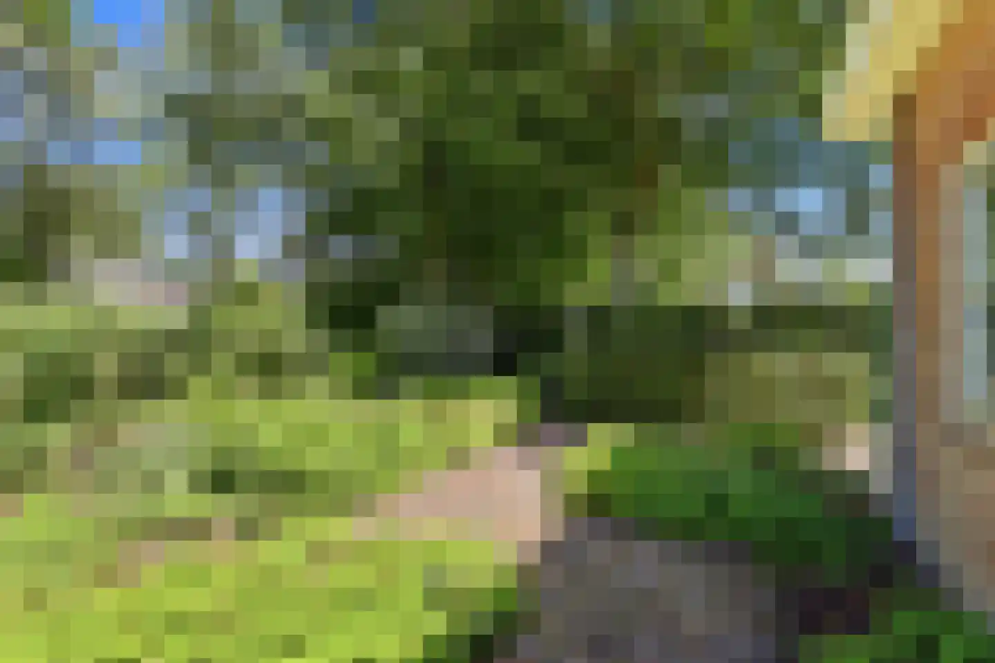 Eikenlaan 28 Oostkapelle thumbnail 12