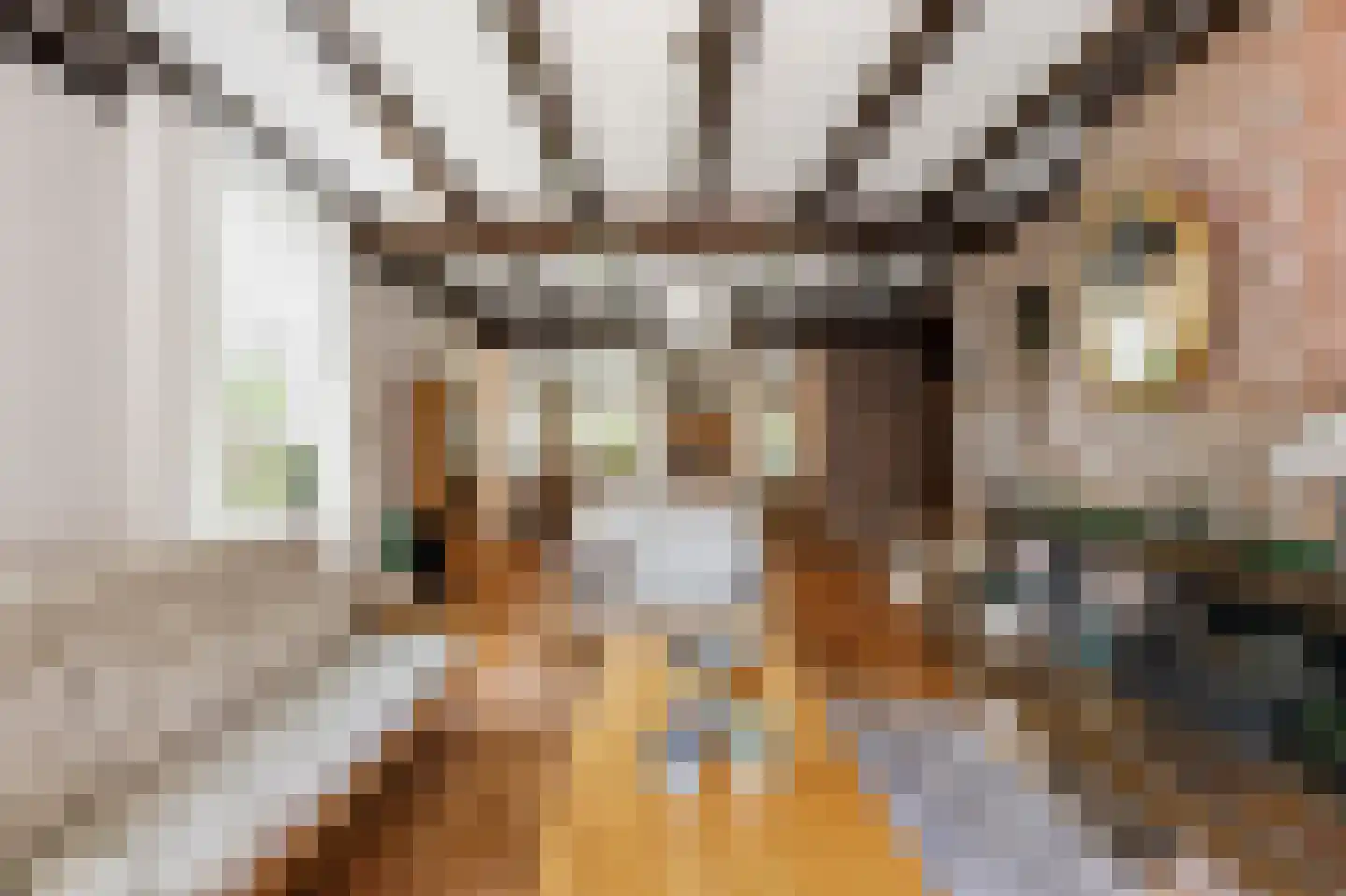 Eikenlaan 28 Oostkapelle thumbnail 17
