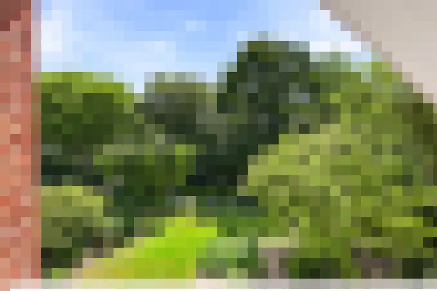 Eikenlaan 28 Oostkapelle thumbnail 32