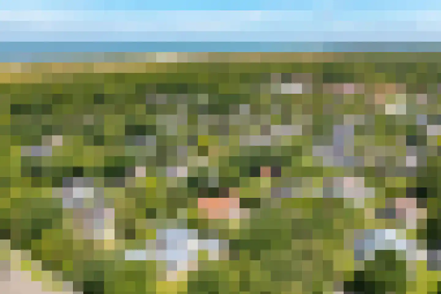Eikenlaan 28 Oostkapelle thumbnail 33