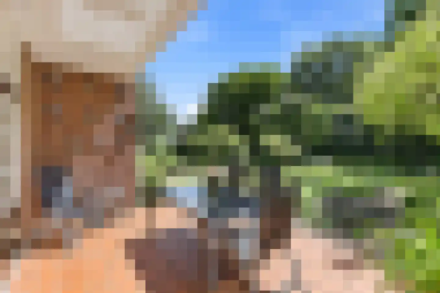 Eikenlaan 28 Oostkapelle thumbnail 8
