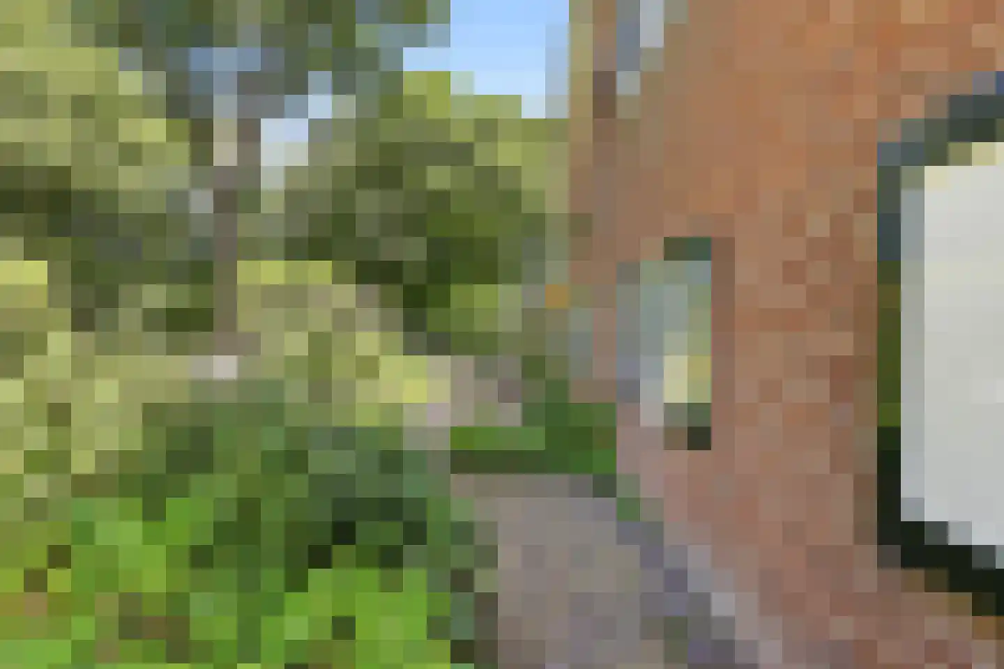 Eikenlaan 28 Oostkapelle thumbnail 9