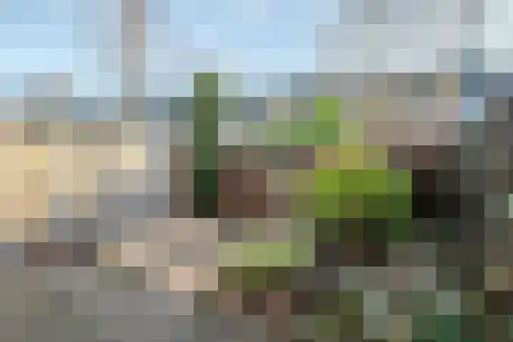 Eikenlaan 28 Spaubeek thumbnail 17