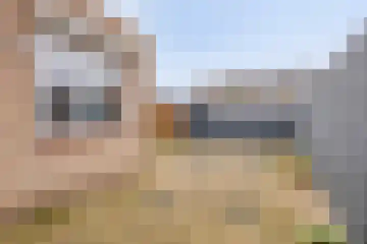 Eikenlaan 28 Waalwijk thumbnail 7