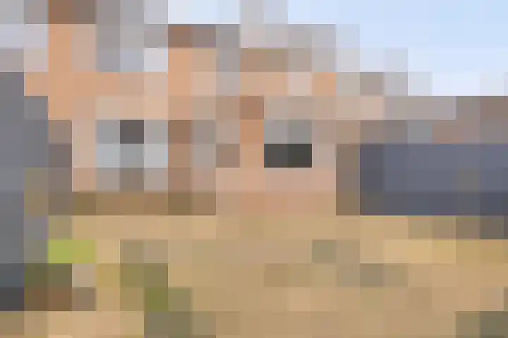 Eikenlaan 28 Waalwijk thumbnail 8