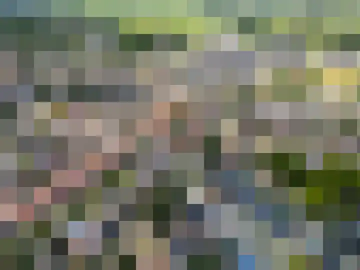 Eikenlaan 28 Zundert thumbnail 18
