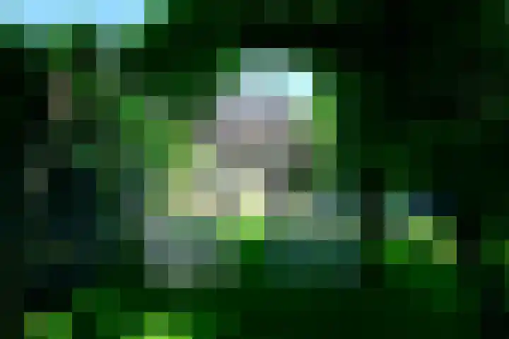 Eikenlaan 29 Zeist thumbnail 20