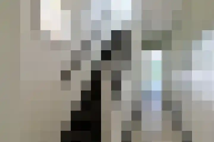 Eikenlaan 29 Zeist thumbnail 7