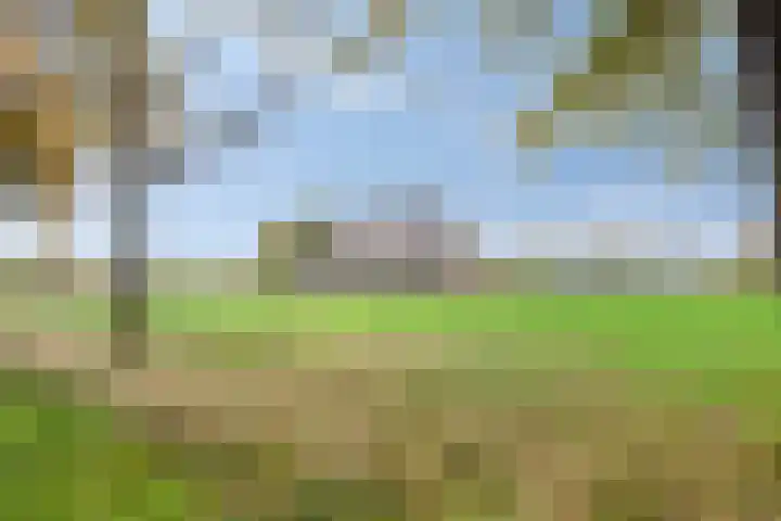 Eikenlaan 3 De Blesse thumbnail 16