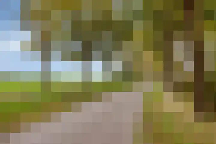 Eikenlaan 3 De Blesse thumbnail 17