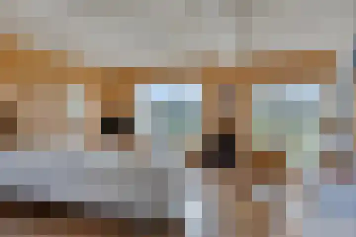 Eikenlaan 3 De Blesse thumbnail 18