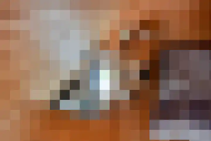 Eikenlaan 3 De Blesse thumbnail 44