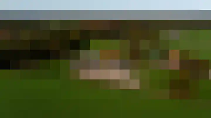 Eikenlaan 3 De Blesse thumbnail 47