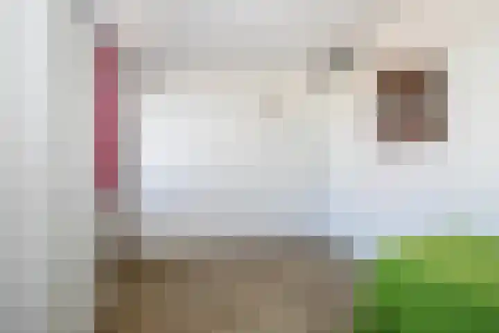 Eikenlaan 3 Ermelo thumbnail 21