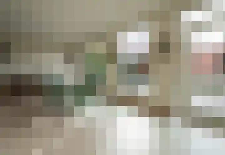 Eikenlaan 3 Ermelo thumbnail 24