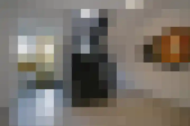Eikenlaan 3 Ermelo thumbnail 25