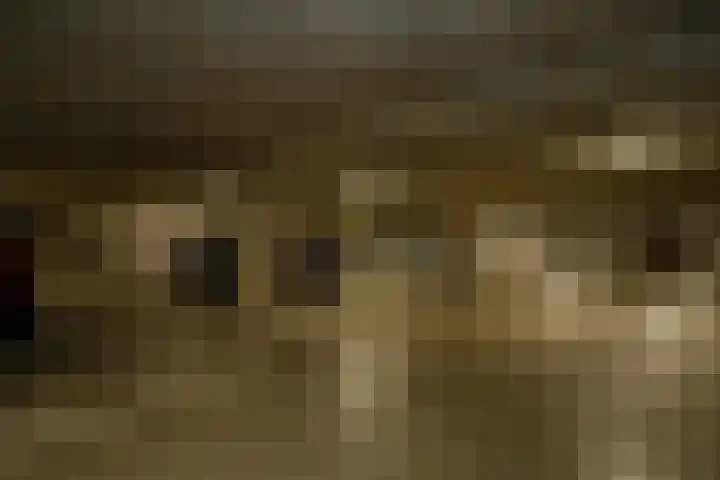 Eikenlaan 3 Ermelo thumbnail 30