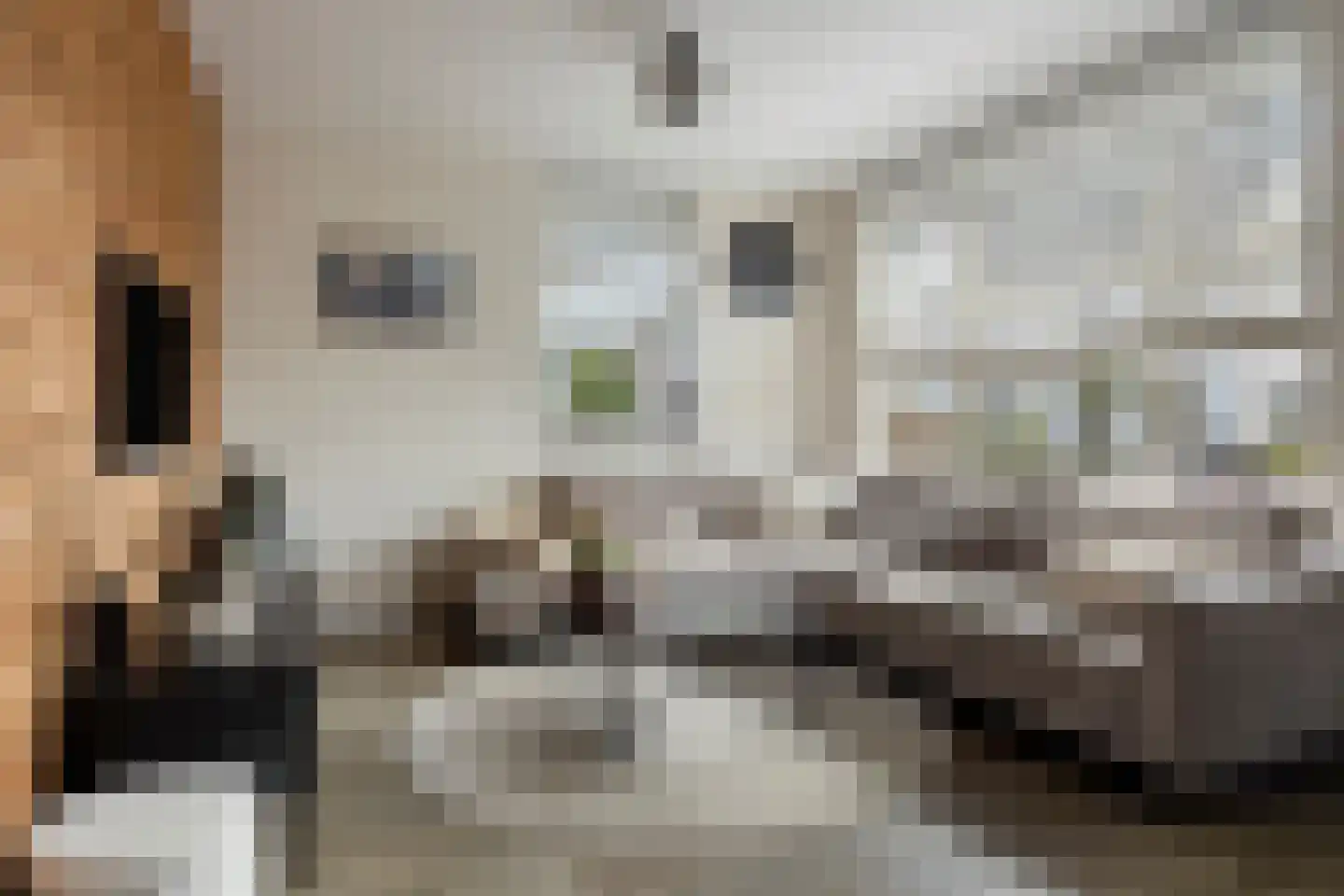 Eikenlaan 3 Ooltgensplaat thumbnail 10