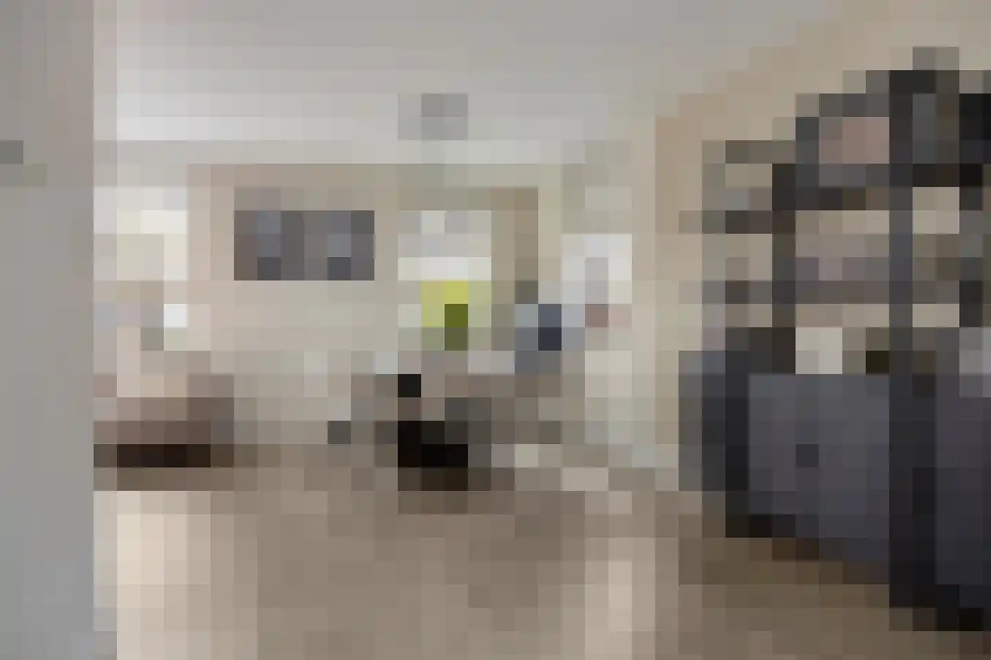 Eikenlaan 3 Ooltgensplaat thumbnail 11